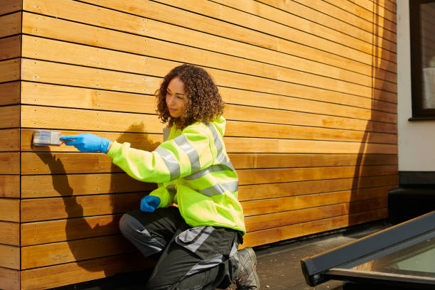 Best Brick Veneer Siding  in Louisburg, KS